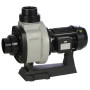 Насос Hayward HCP10301E KA300 M.B (220В, 48 м³/час, 2.76 кВт, 3HP)