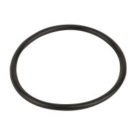 Прокладка-кольцо крышки корпуса 6-позиционного вентиля Kripsol 2" RVS213.A/ R1210135.0