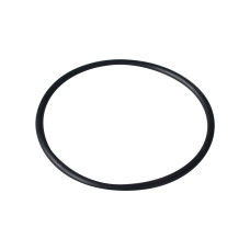 Резиновая прокладка под крышку Emaux SS/O-Ring for lid для SS 2011074