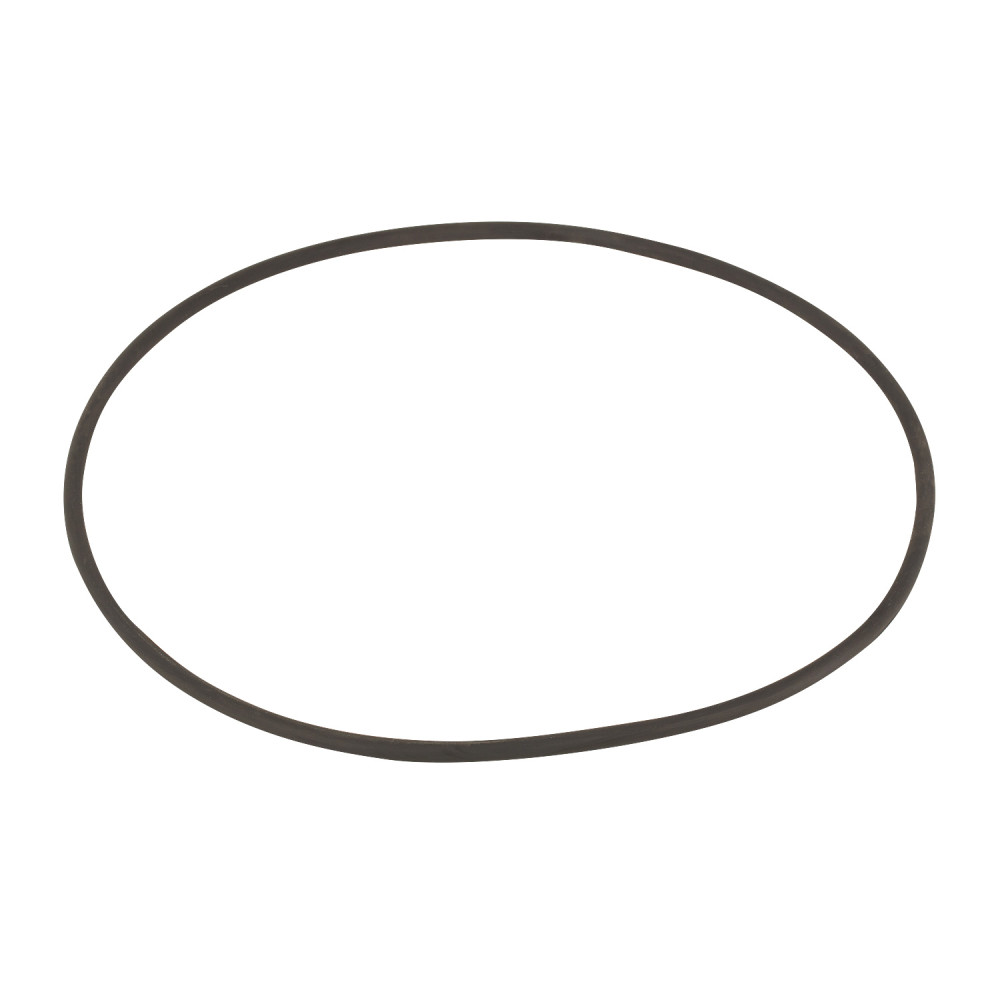 Уплотнительное кольцо Emaux корпуса насоса SD 2011076