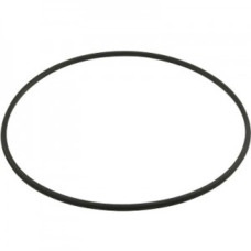 Уплотнительное кольцо фильтра Hayward DE (DEX2422Z2)