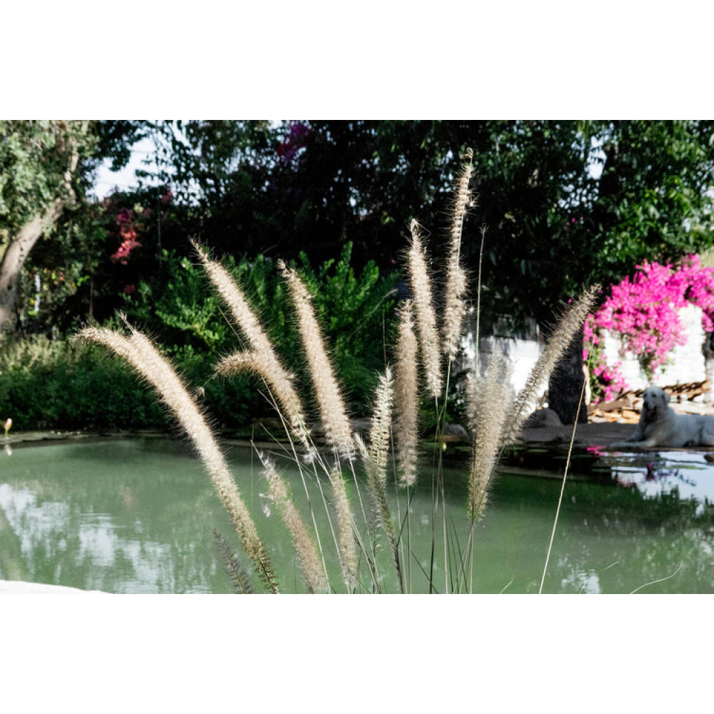 Озерная мембрана Natural Pools, Eco green 7219 зеленая, армированная 1.5 мм, 1.65мх25м 318157219001