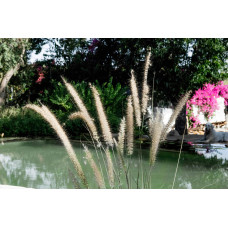 Озерная мембрана Natural Pools, Eco green 7219 зеленая, армированная 1.5 мм, 1.65мх25м 318157219001