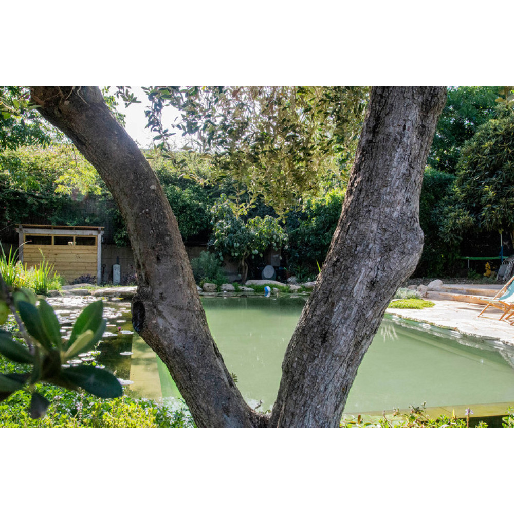 Озерная мембрана Natural Pools, Eco green 7219 зеленая, армированная 1.5 мм, 1.65мх25м 318157219001