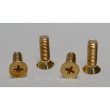 Винт латунный M5x15 PG-8500023