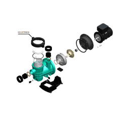 Пластиковая крышка префильтра насоса STREAMER MINI PG-0111STRM16