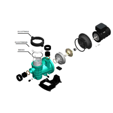 Прокладка крышки префильтра насоса STREAMER MINI PG-860343