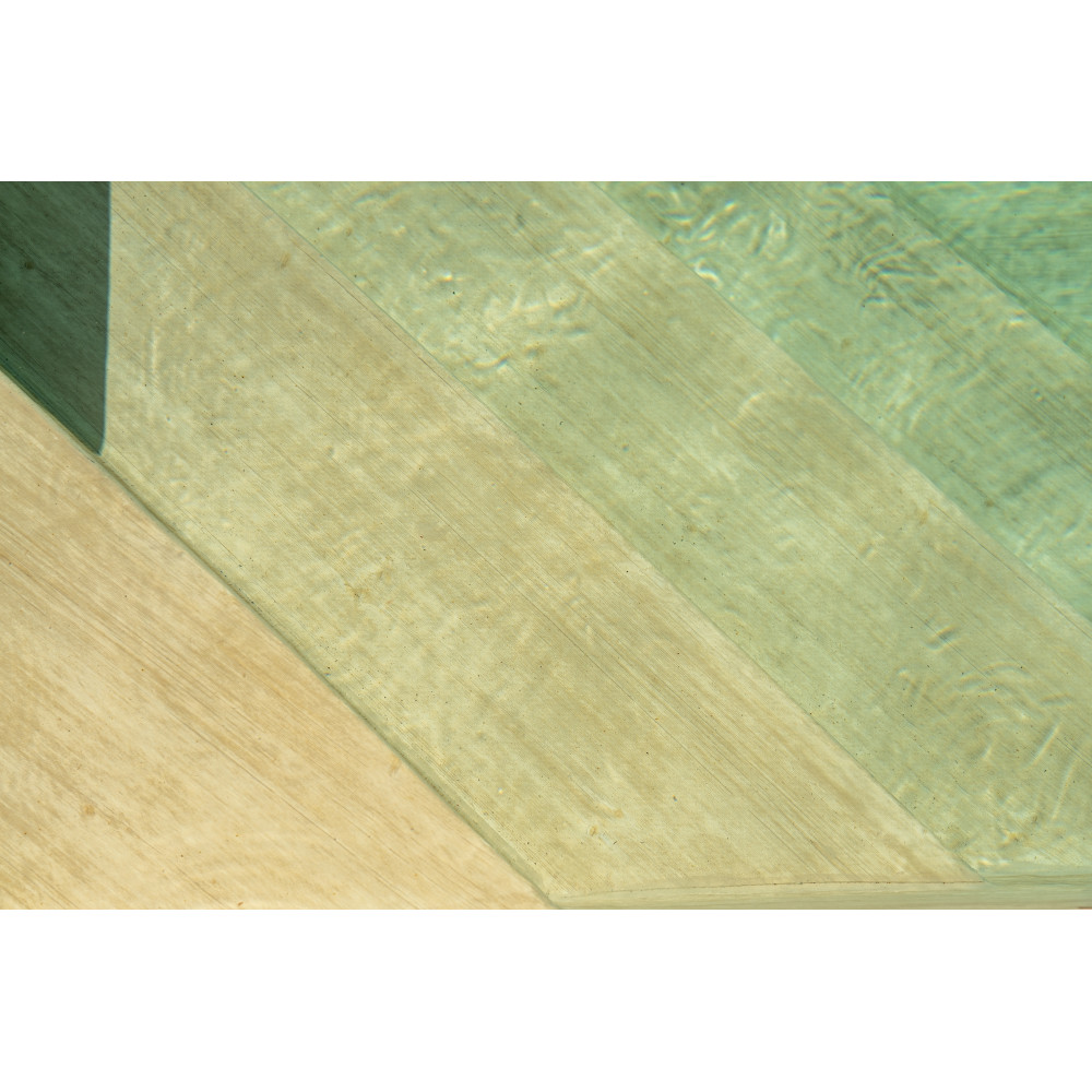 Армированная мембрана, 3D Premium Collection, LARCH NATURE, 1,65 с лаковым покрытием LARCH NATURE